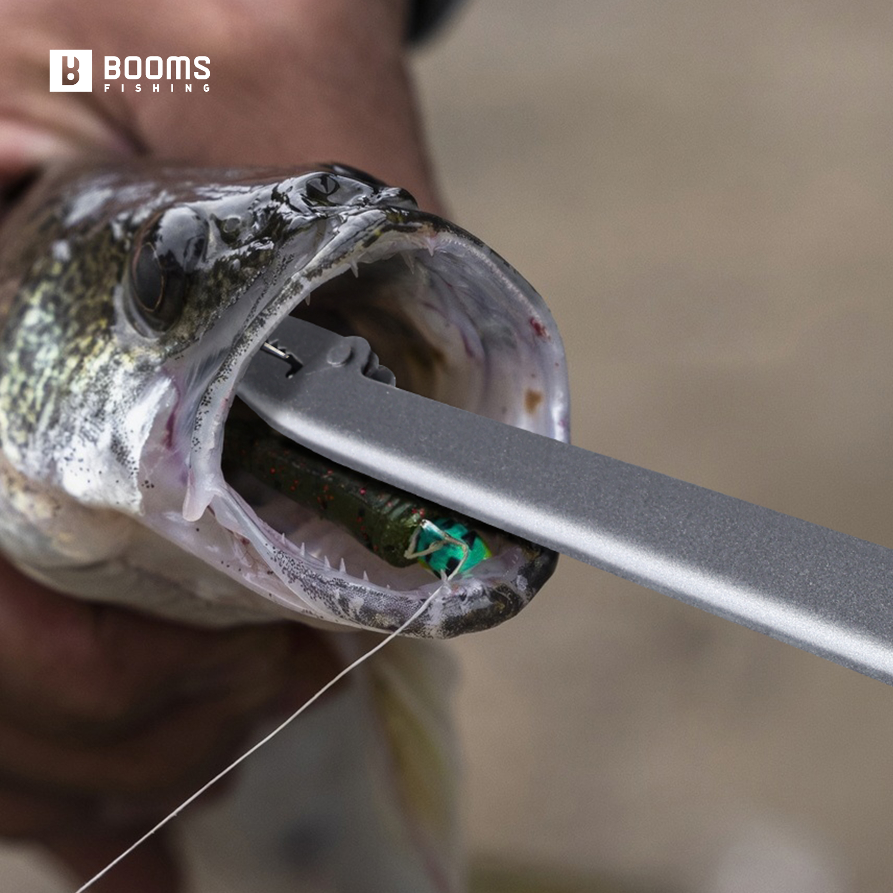 Booms Fishing 25cm Carbon Stee – Fishing Equipment Target recenzja i cena